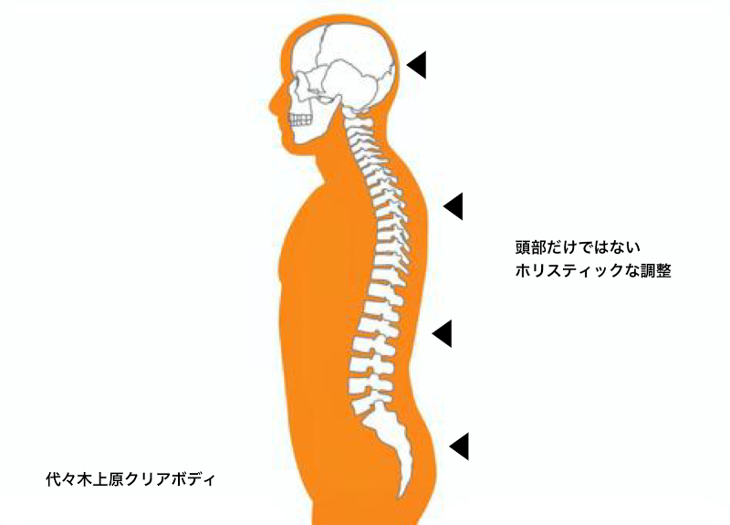 オステオパシーの頭蓋仙骨療法について/東京勉強会記録