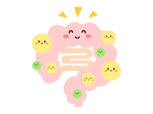 腸の不調とオステオパシー治療｜東京渋谷代々木上原の治療院クリアボディ